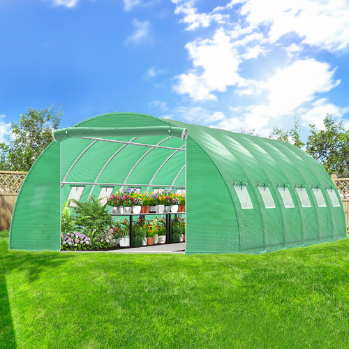 ALFORDSON Greenhouse Dome Shed Walk-in Tunnel Plant Garden 6mx4mx2m